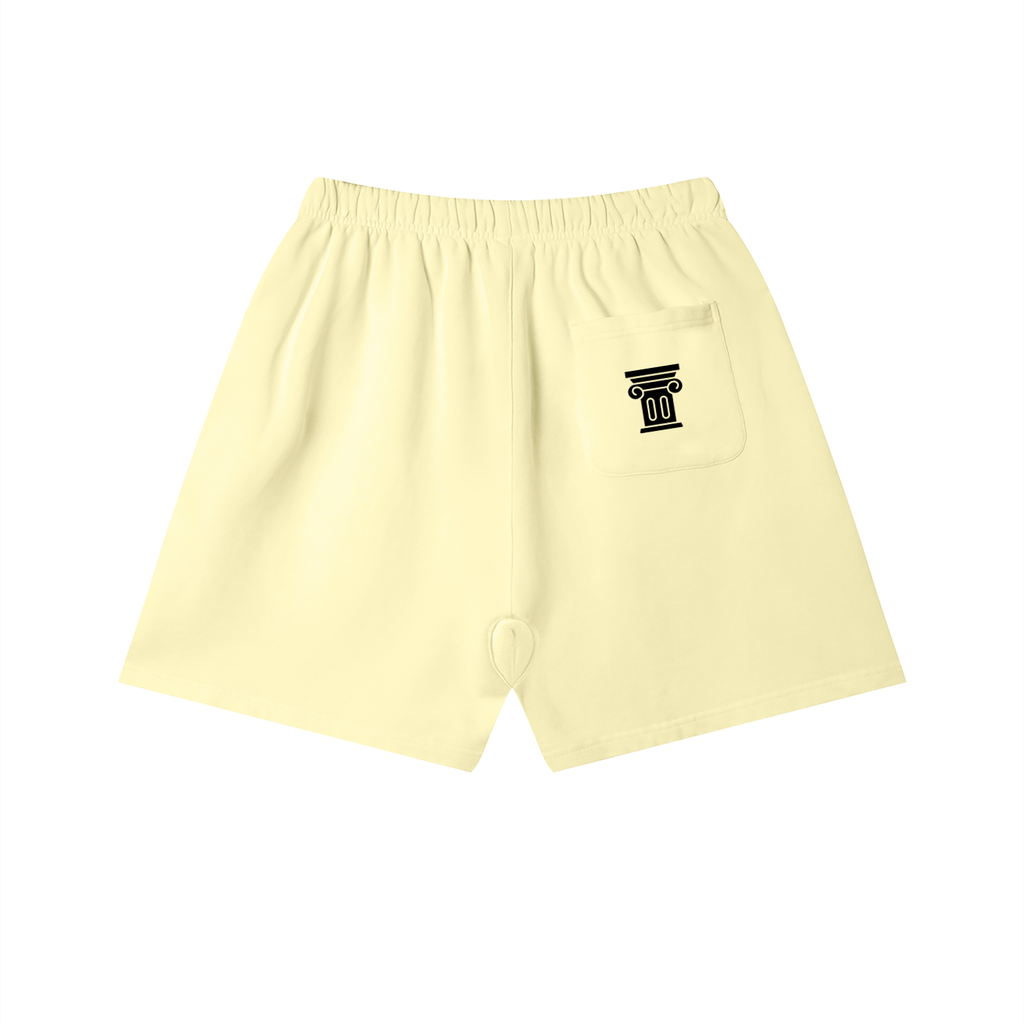 STNCE - Foundation Cotton Shorts